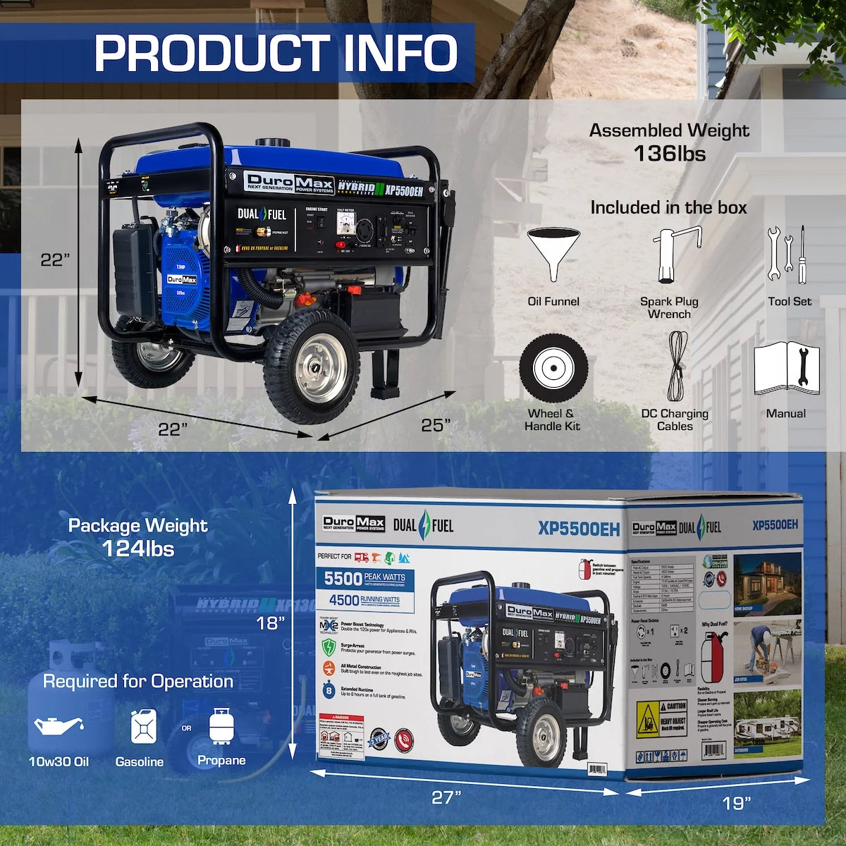 5500-Watt Dual Fuel Portable Generator E1041