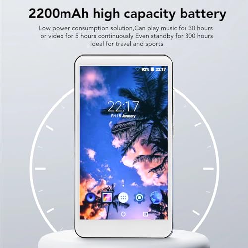 256GB Bluetooth MP3 Player with Speaker C91190