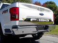 Stainless Steel Tailgate Accent 2Pc X50027