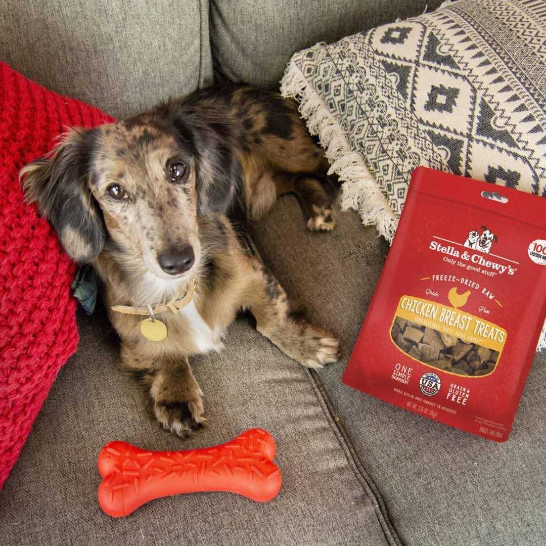 Chicken Hearts Freeze-Dried Dog Treats L841