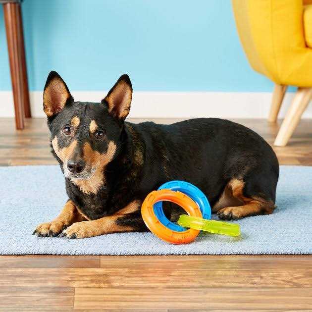 3-Ring Tug Dog Toy O893