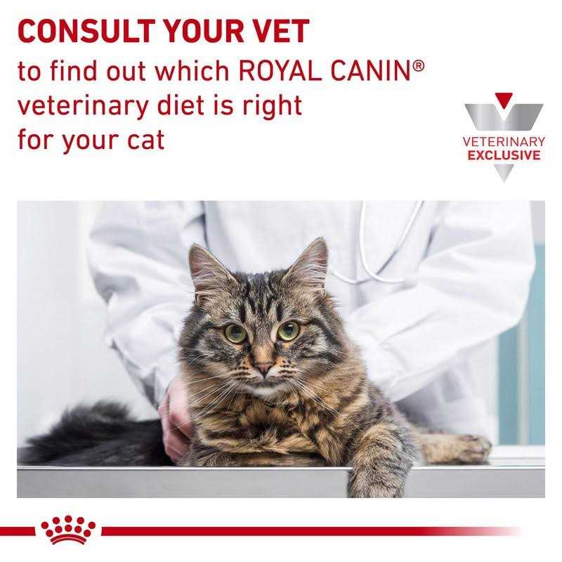 Veterinary Diet Feline Gastrointestinal Kitten Dry Cat Food J636