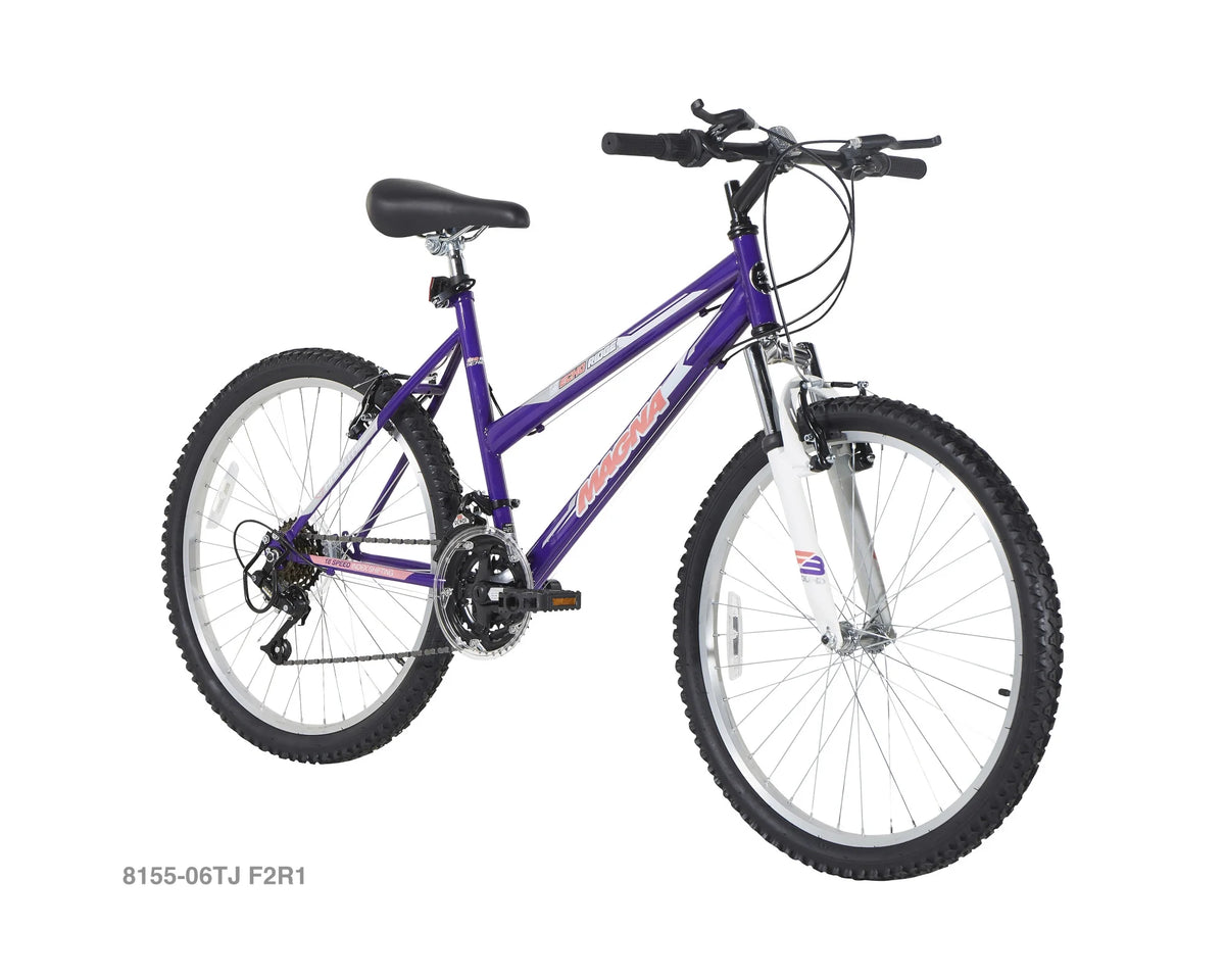 24-Inch Girls Hybrid Bike Z6873
