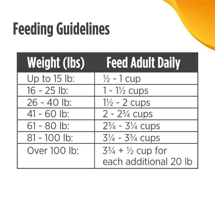 Grain-Free Dry Dog Food T435429