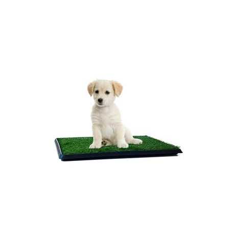 Artificial Grass Potty Trainer Mat Y12455