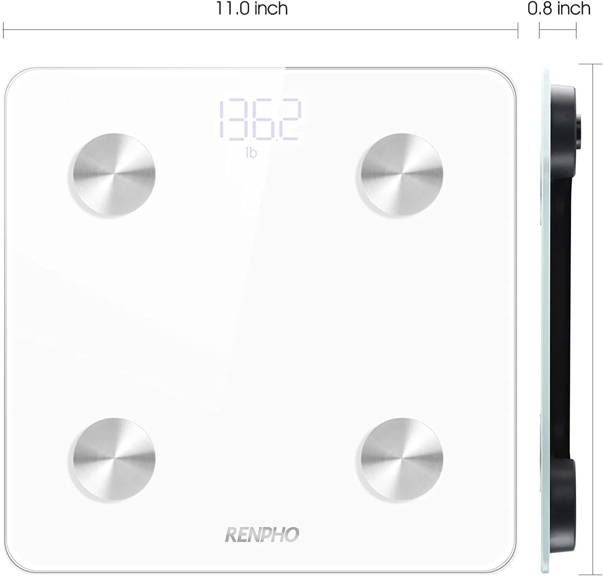 Digital Body Weight Scale Y574