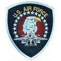 Eagle Fighter Patch O173878
