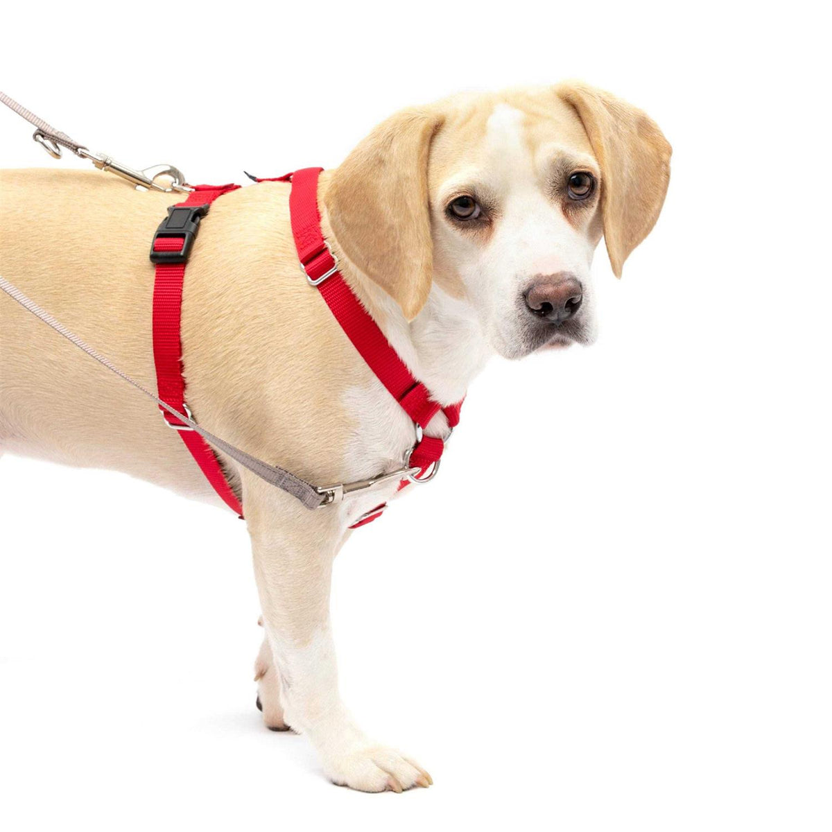 Pet Supplies R47490