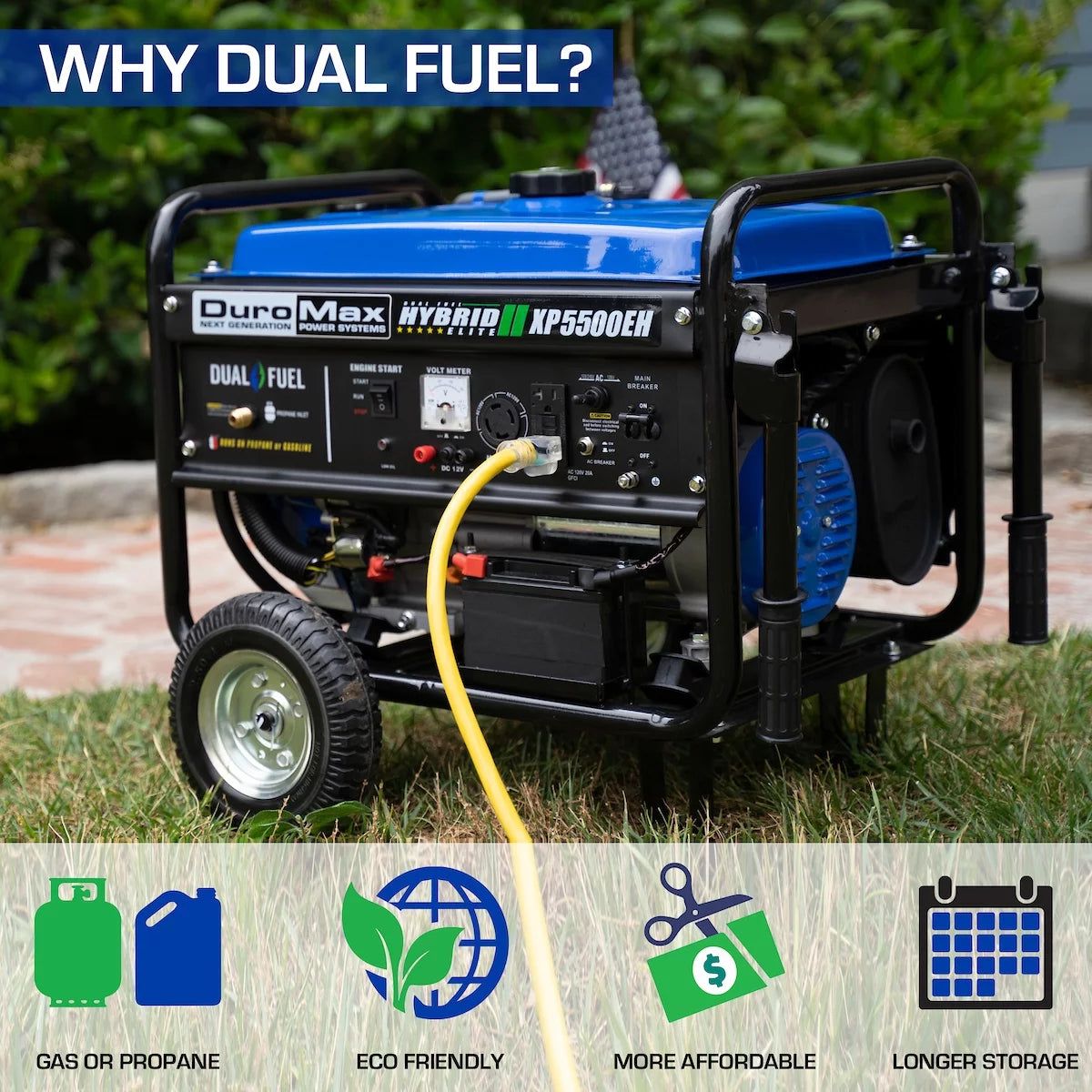 5500-Watt Dual Fuel Portable Generator E1041