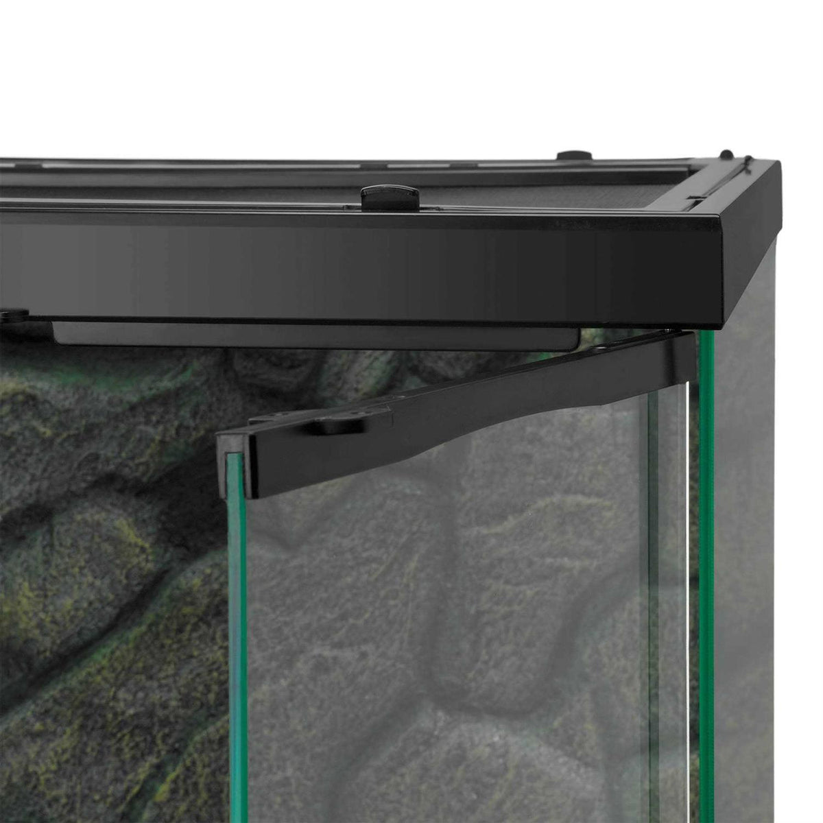 Front Terrarium M262990