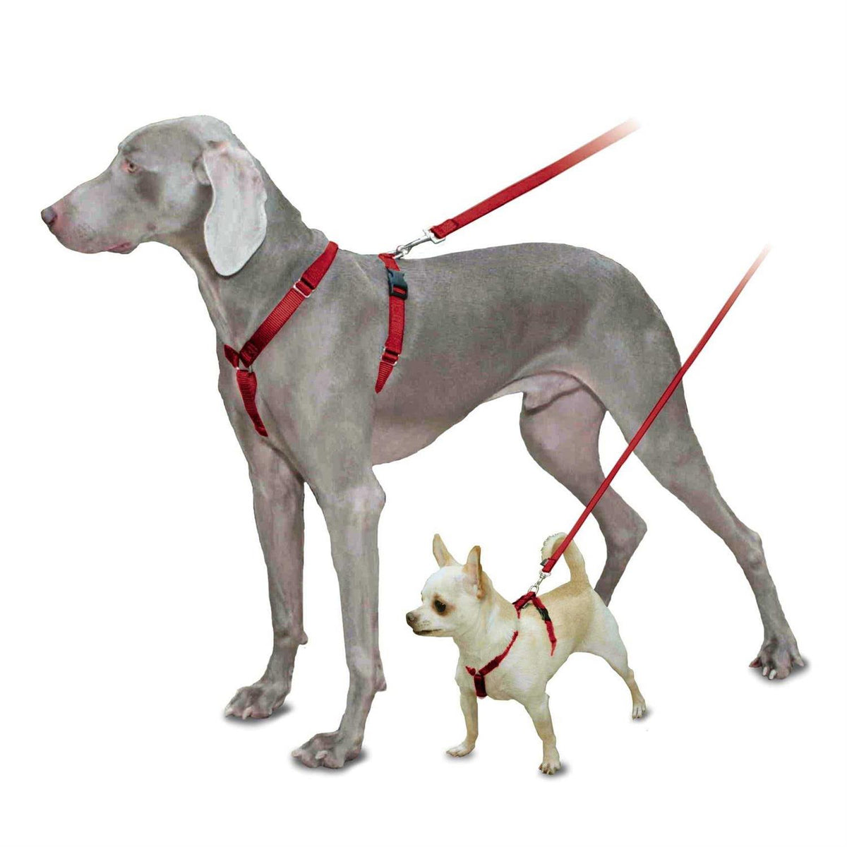 Pet Supplies R47490