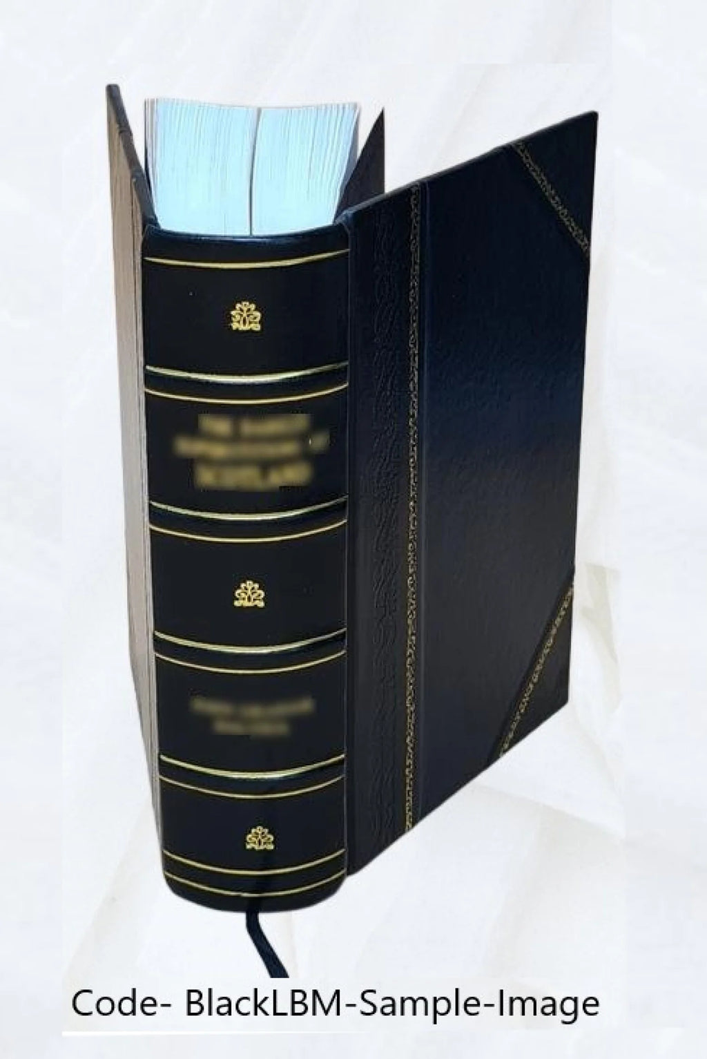 Leather Bound Book Q7987