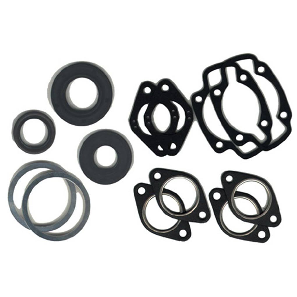 Professional Gasket Set with Oil Seals Y734594