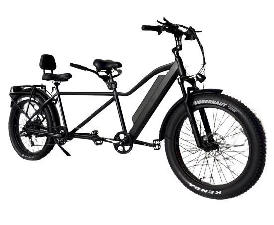 Electric Adventure Fat Tire Bike G89702