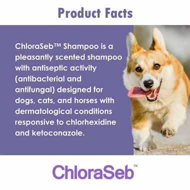 Antiseptic Dog Shampoo M43843