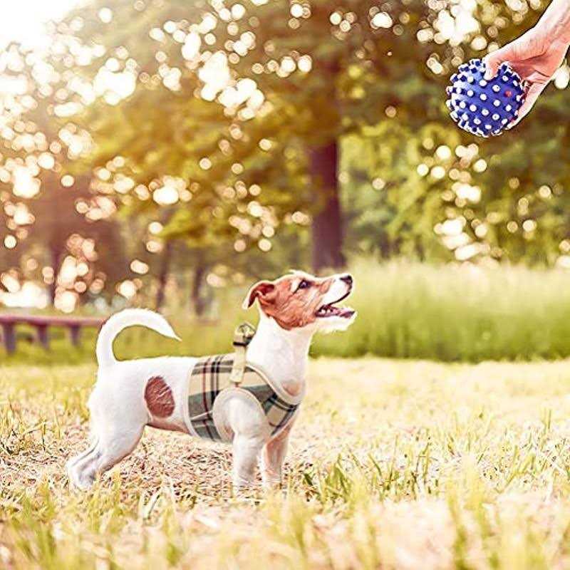 Soft Mesh Padded Dog Harness X10695