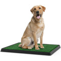 Artificial Grass Potty Trainer Mat Y12455