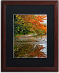 Black Matte Artwork, 16 by 20-Inch, Wood Frame O476429