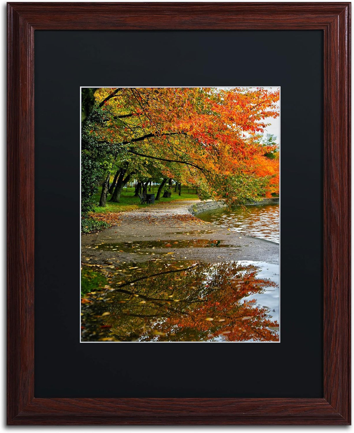 Black Matte Artwork, 16 by 20-Inch, Wood Frame O476429