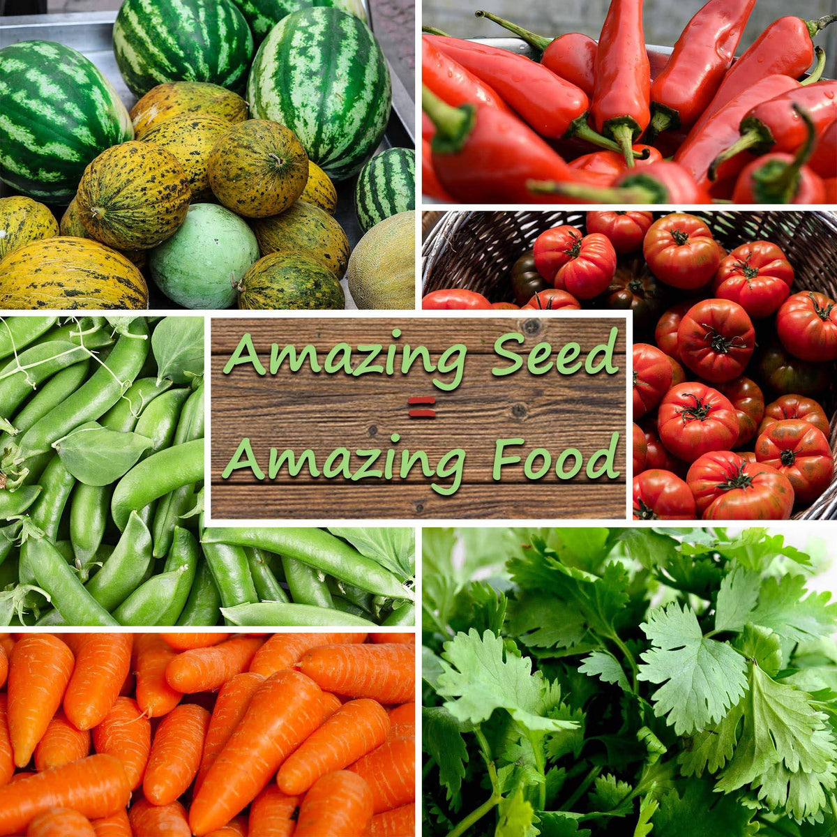 25 lb Bulk Non-GMO Corn Garden Seeds T714