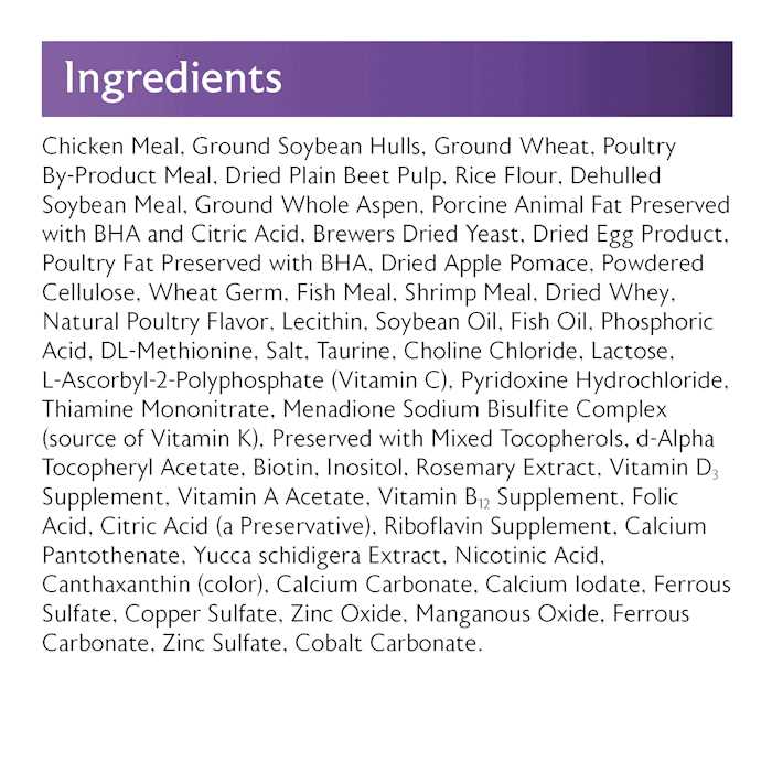 Bearded Dragon Diet S899777