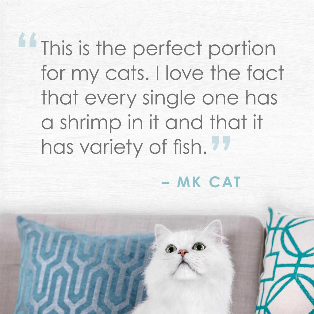 Natural Seabass & Shrimp in Broth Cat Food E6126