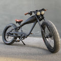 750w 48v Electric Bike F424