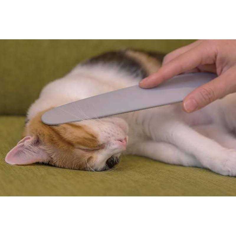 Cat Groomer X942029