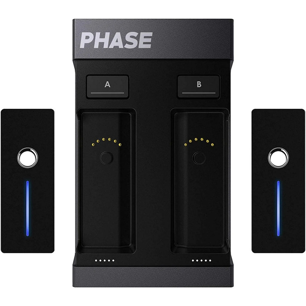 Wireless DVS DJ System With 2 Remotes P100