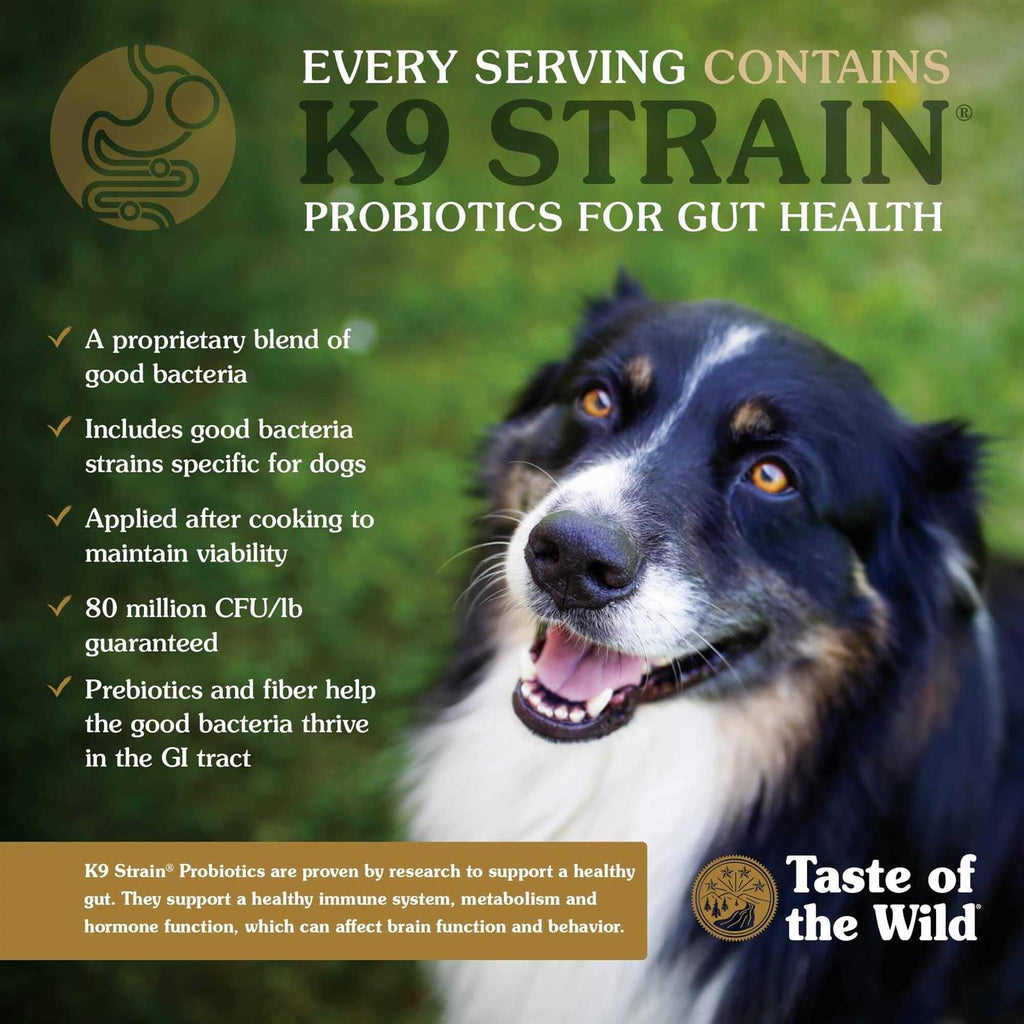 Smoked Salmon Dog Food Z33513