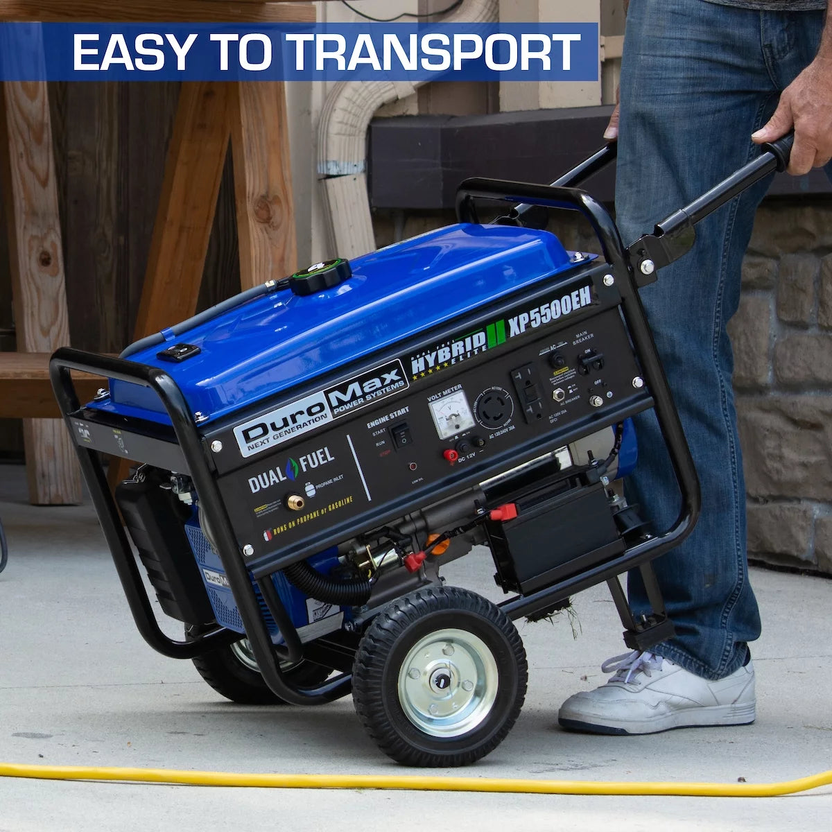 5500-Watt Dual Fuel Portable Generator E1041