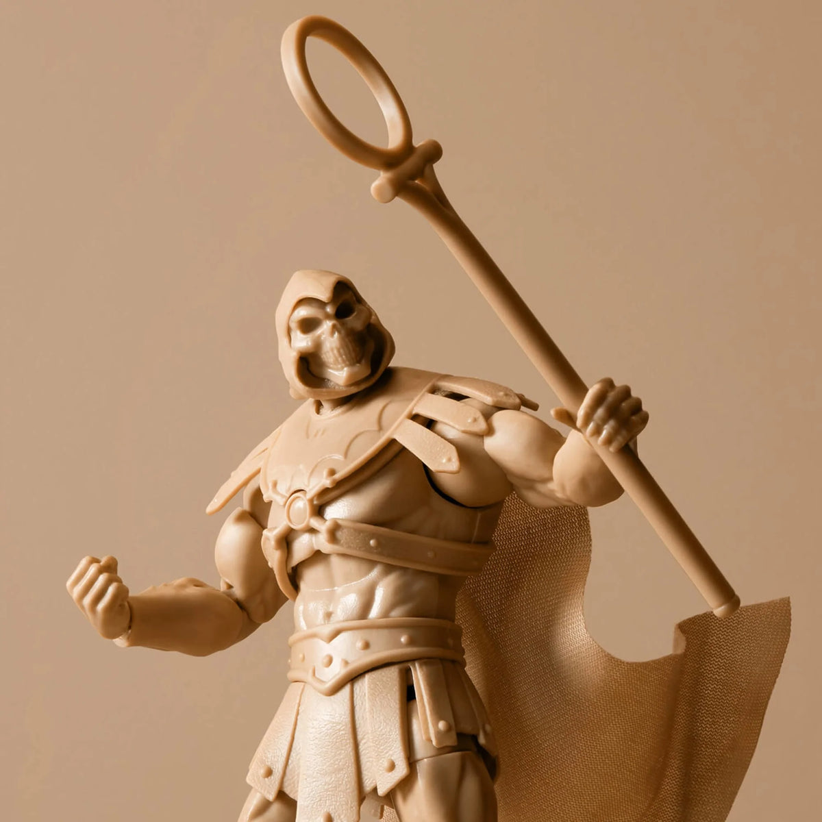 Skeletor Collector Figure X50149