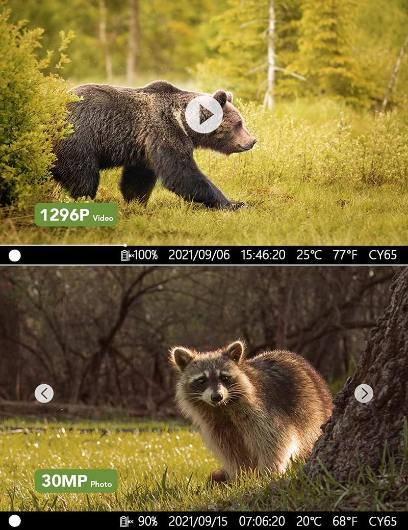 WiFi Bluetooth 30MP 1296P Hunting Camera with IR Night Vision and IP66 Waterproof S2422